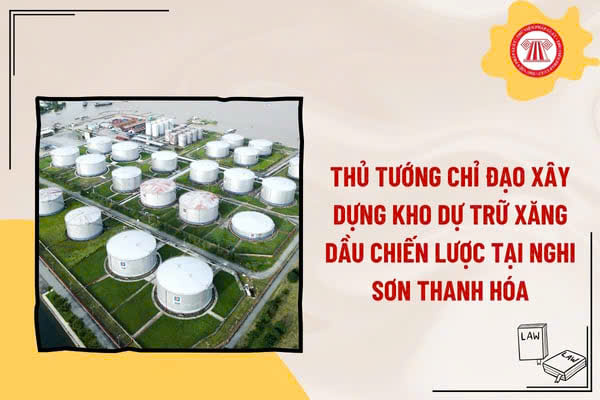 THẤY GÌ TỪ VIỆC GIÁ XĂNG DẦU GIẢM MẠNH?
